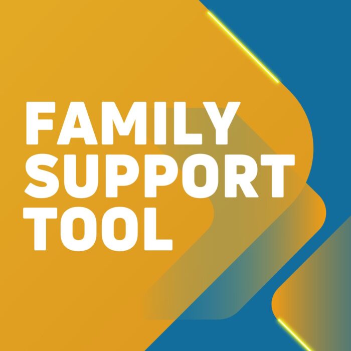 Standardized Family Support Tool Update:  New Focus on Respite